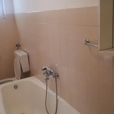 Guest house Riba